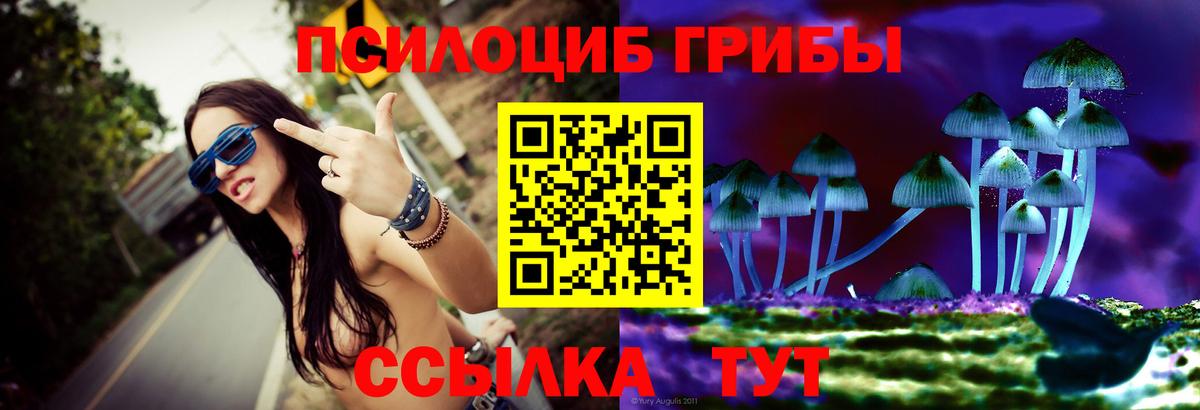 Галлюциногенные грибы Psilocybe  Вход с VPN  Арзамас  Псилоцибиновые грибы MAGIC MUSHROOMS 